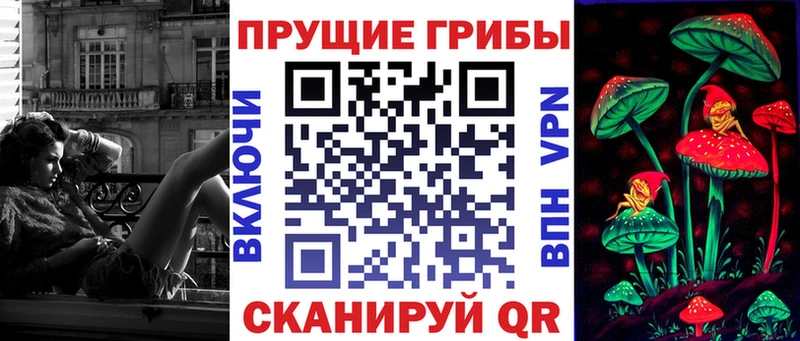 Купить  Сафоново  Псилоцибиновые грибы Magic Shrooms 